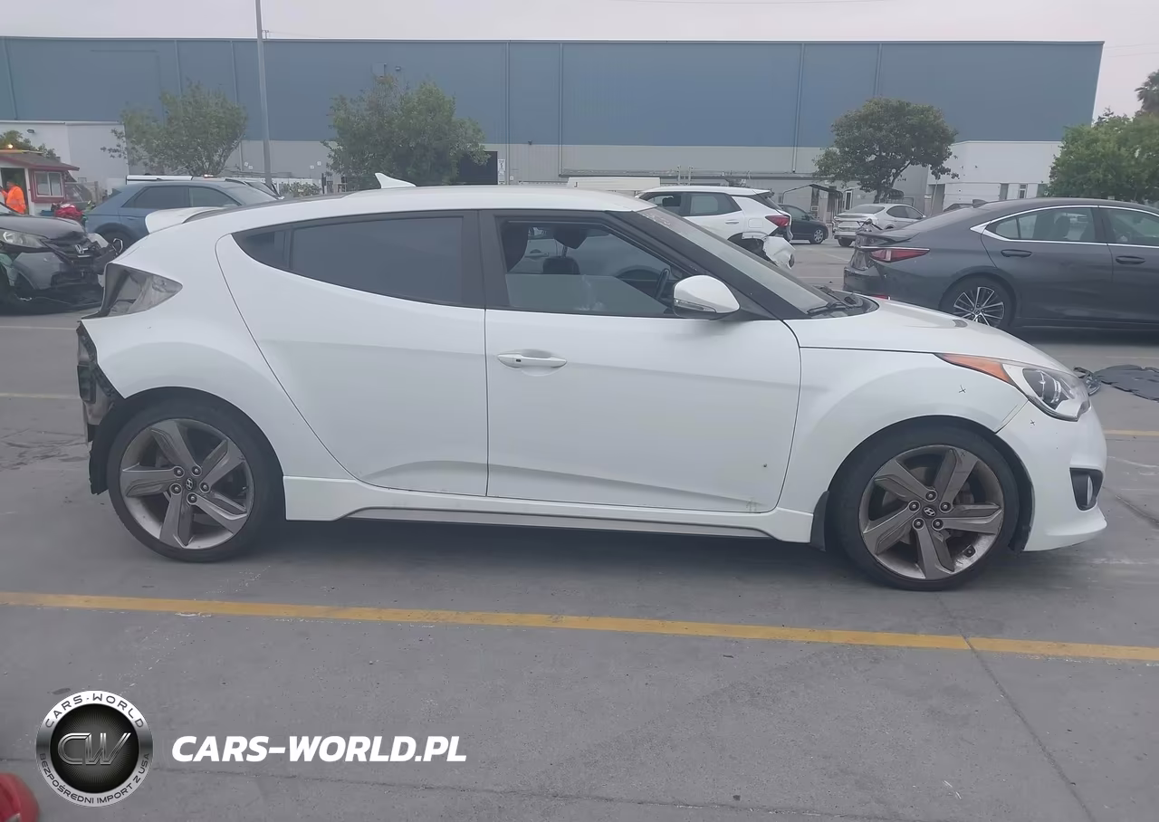 2014 Hyundai Veloster Turbo W-Black VIN:KMHTC6AE9EU183198 - 14