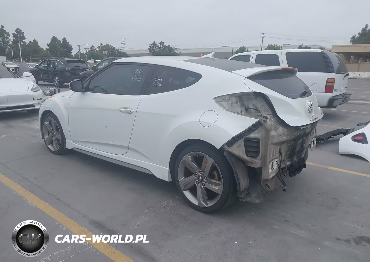 2014 Hyundai Veloster Turbo W-Black VIN:KMHTC6AE9EU183198 - 3