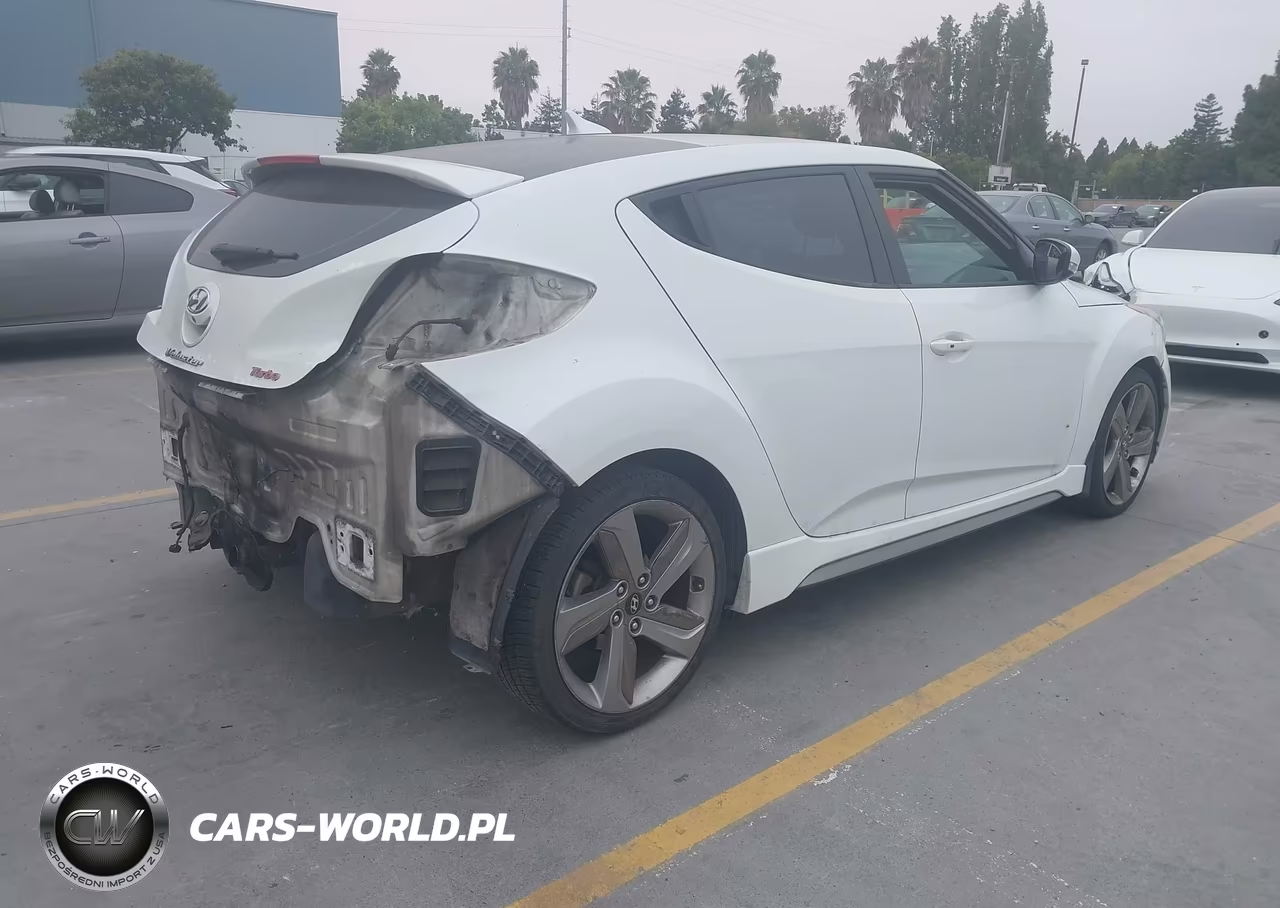 2014 Hyundai Veloster Turbo W-Black VIN:KMHTC6AE9EU183198 - 4