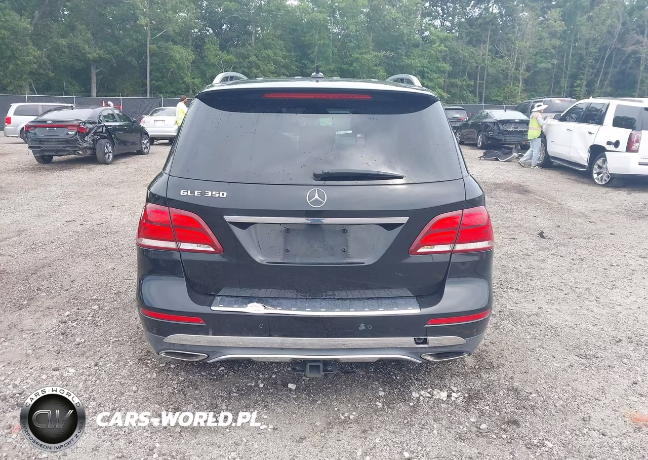 2017 Mercedes-Benz Gle 350 VIN:4JGDA5JB6HA865620 - 16
