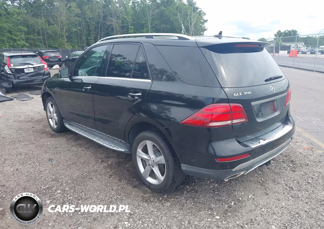 2017 Mercedes-Benz Gle 350 VIN:4JGDA5JB6HA865620 - 3