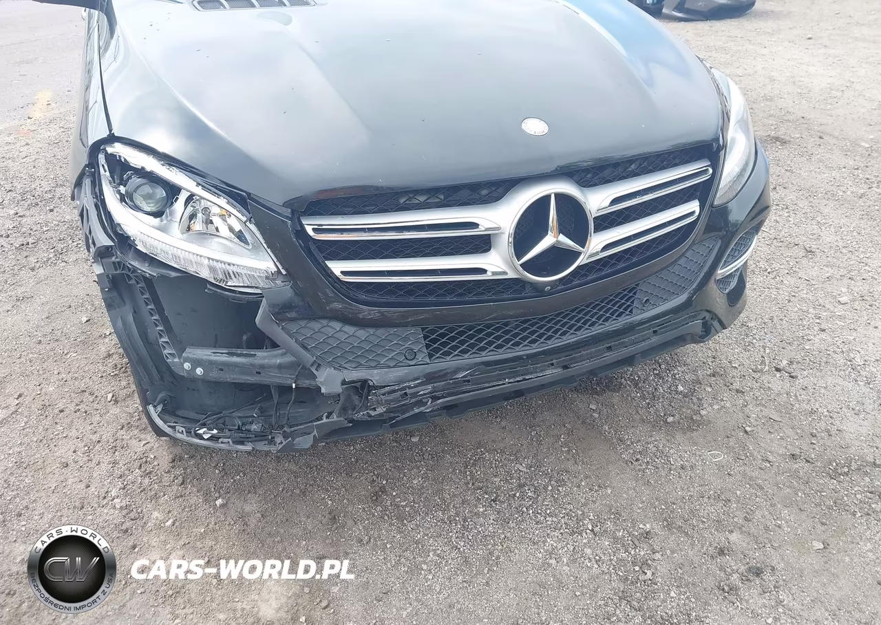 2017 Mercedes-Benz Gle 350 VIN:4JGDA5JB6HA865620 - 6