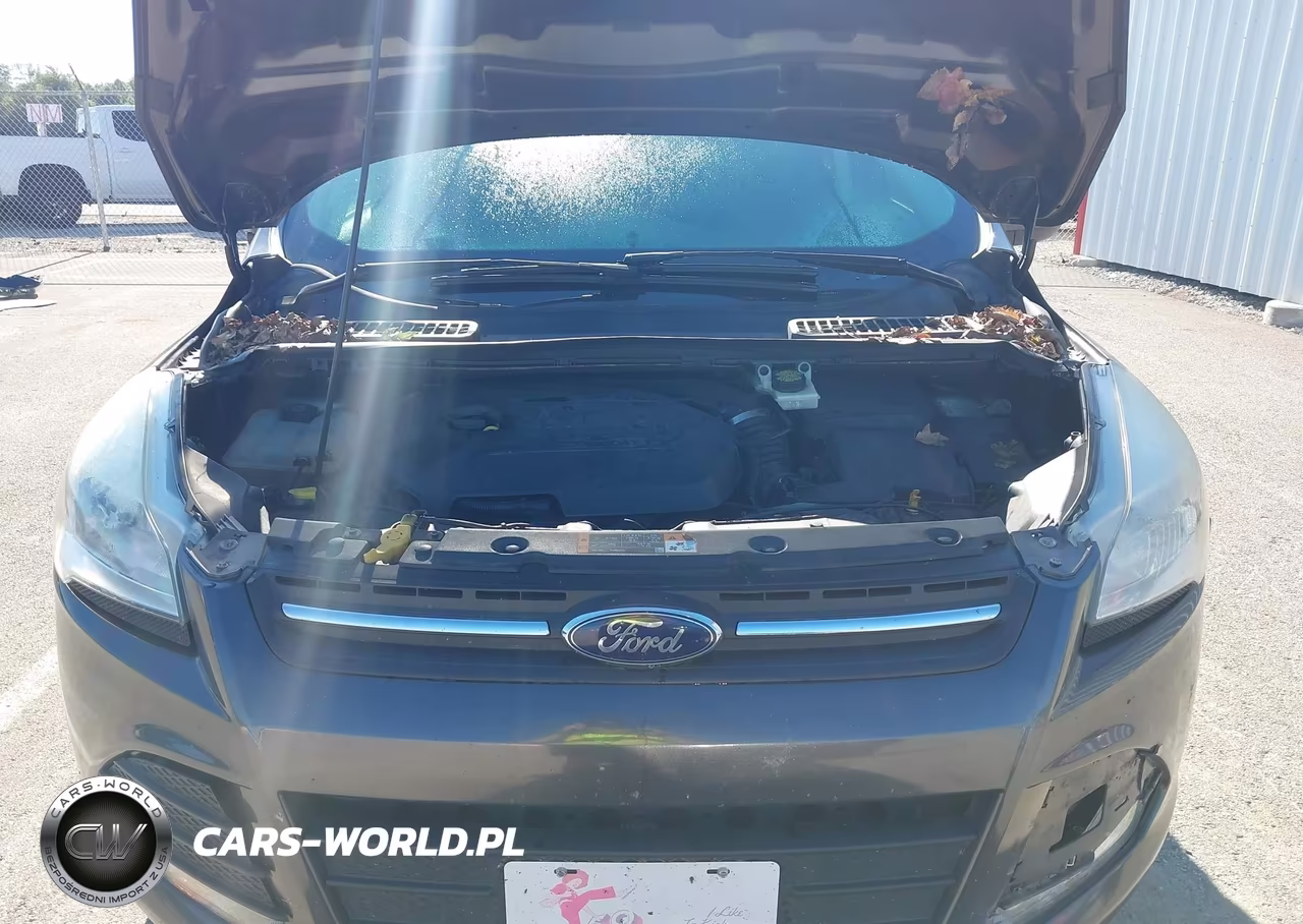 2015 Ford Escape Se VIN:1FMCU0GX8FUA68192 - 10