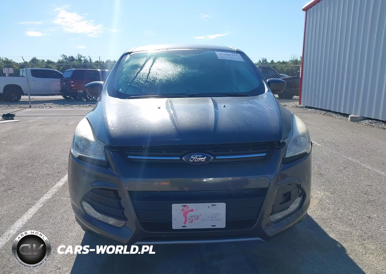 2015 Ford Escape Se VIN:1FMCU0GX8FUA68192 - 12