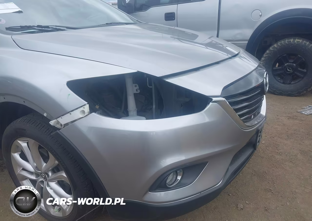2013 Mazda Cx-9 Grand Touring VIN:JM3TB3DVXD0423387 - 18