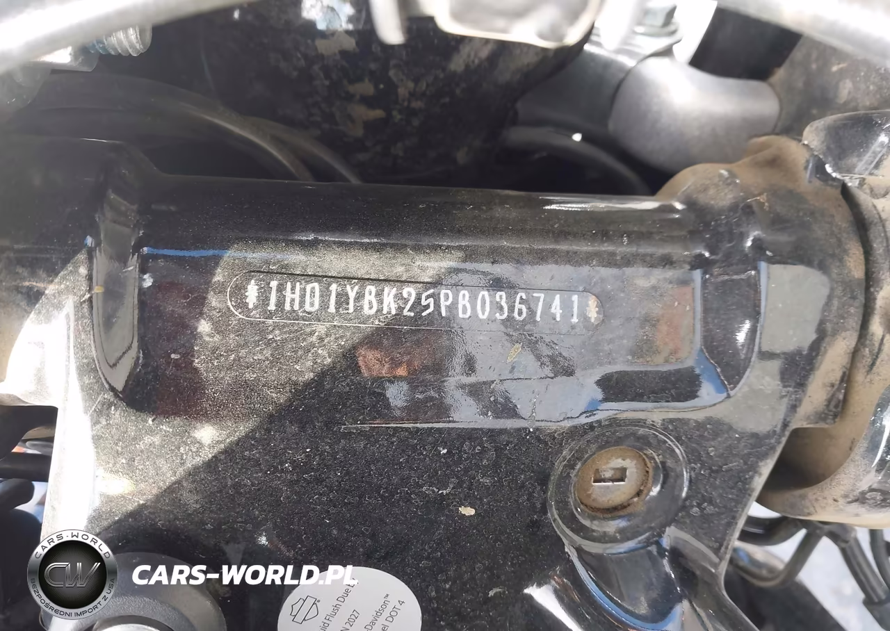 2023 Harley-Davidson Flhcs VIN:1HD1YBK25PB036741 - 10