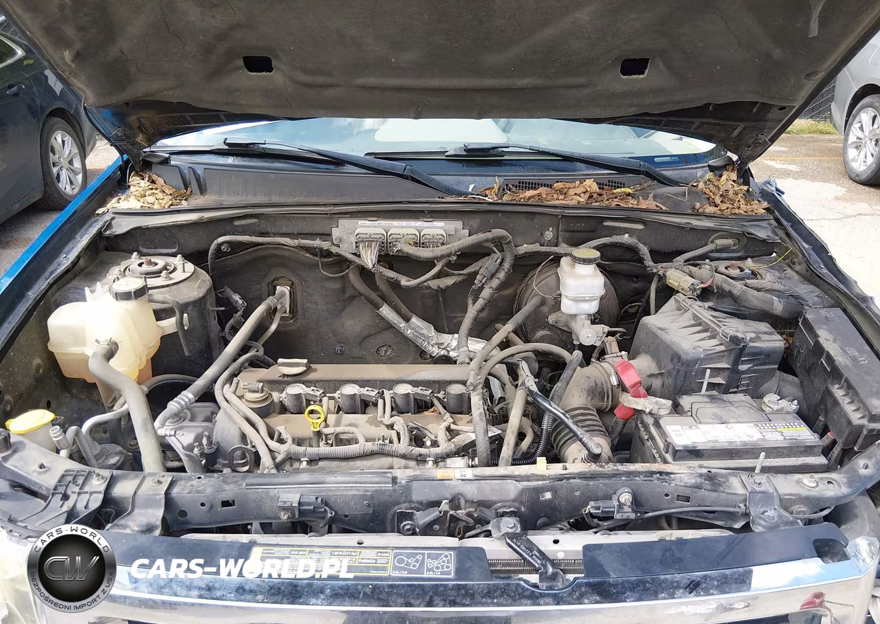 2011 Ford Escape Xlt VIN:1FMCU0D7XBKA51758 - 10