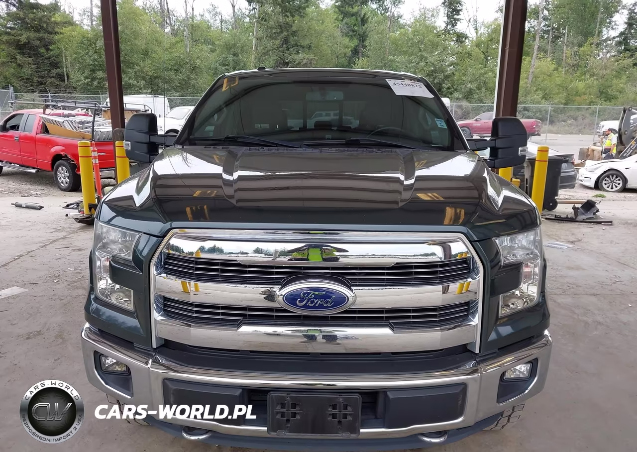2015 Ford F-150 Xlt VIN:1FTEW1EG5FKD82524 - 12