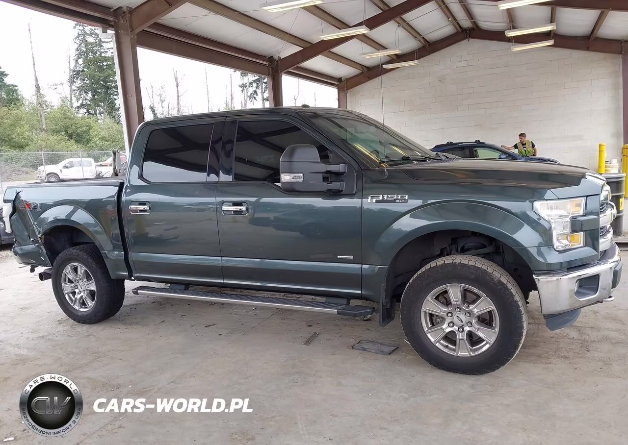 2015 Ford F-150 Xlt VIN:1FTEW1EG5FKD82524 - 13