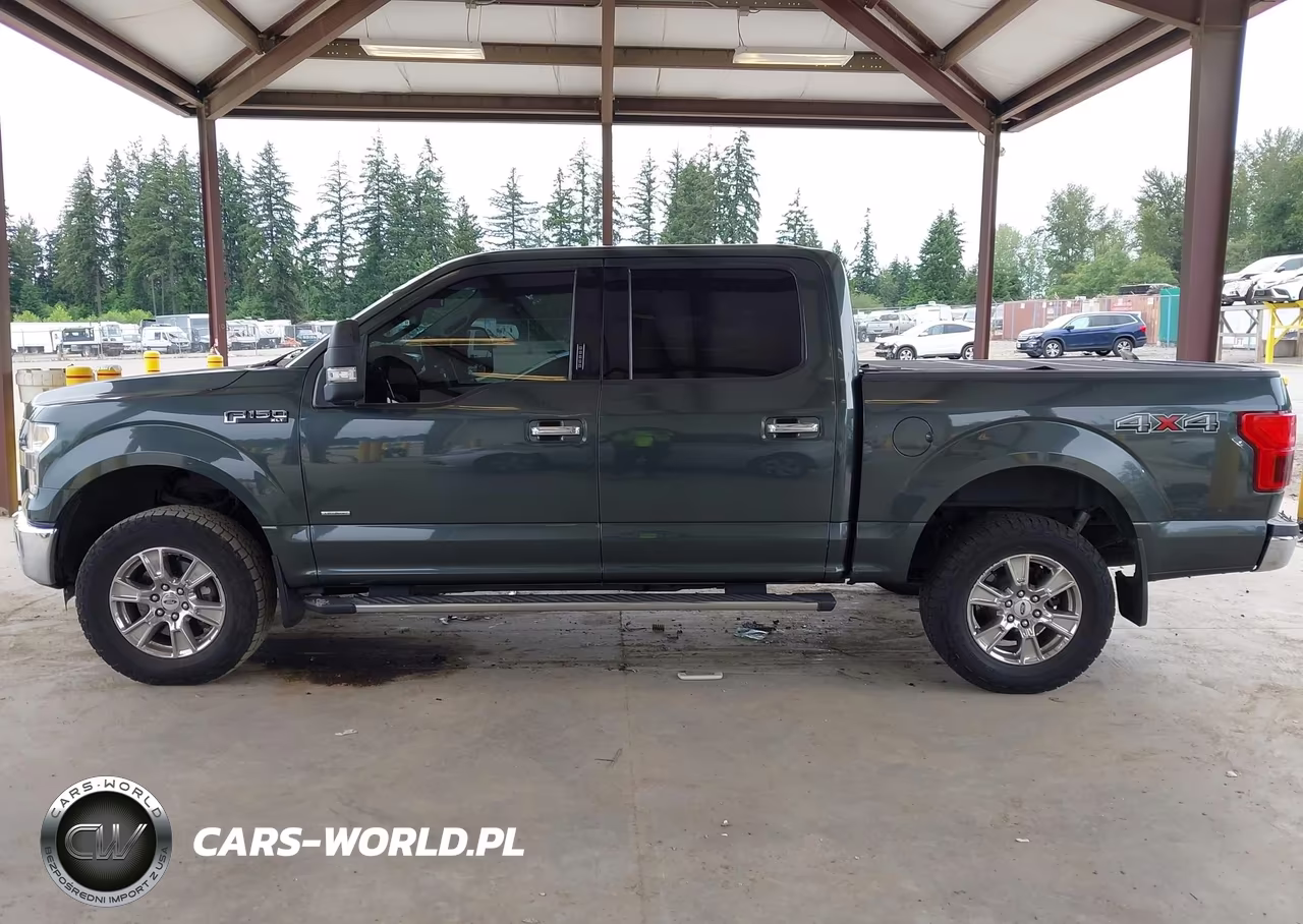 2015 Ford F-150 Xlt VIN:1FTEW1EG5FKD82524 - 14