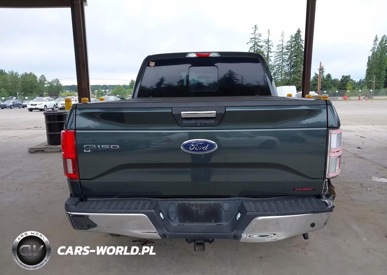 2015 Ford F-150 Xlt VIN:1FTEW1EG5FKD82524 - 16