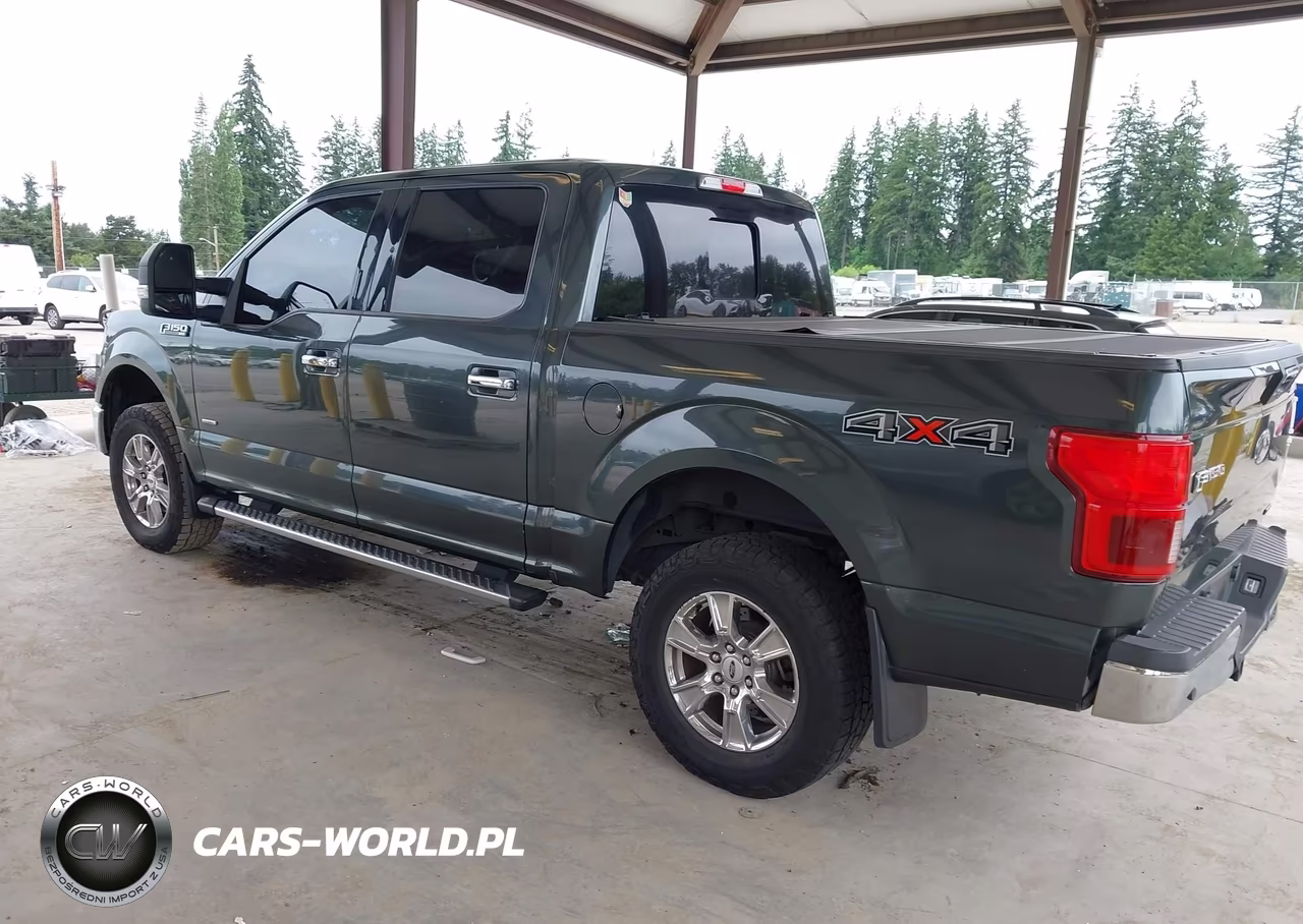 2015 Ford F-150 Xlt VIN:1FTEW1EG5FKD82524 - 3