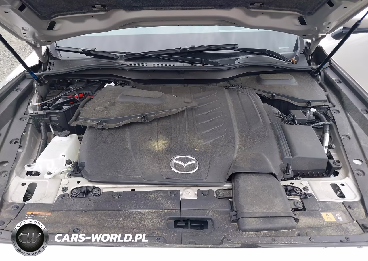 2024 Mazda Cx-90 3.3 Turbo Premium Plus VIN:JM3KKEHD9R1188815 - 10
