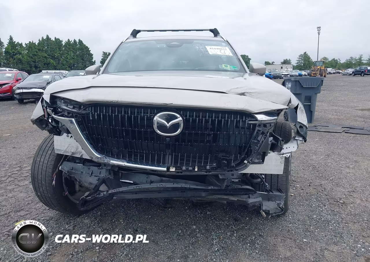 2024 Mazda Cx-90 3.3 Turbo Premium Plus VIN:JM3KKEHD9R1188815 - 13