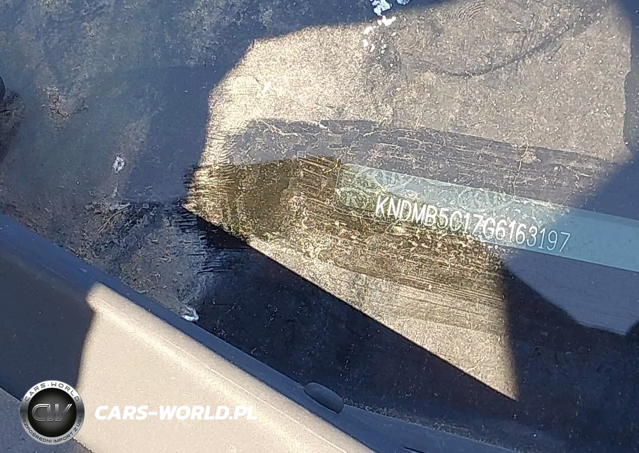 2016 Kia Sedona Lx VIN:KNDMB5C17G6163197 - 12