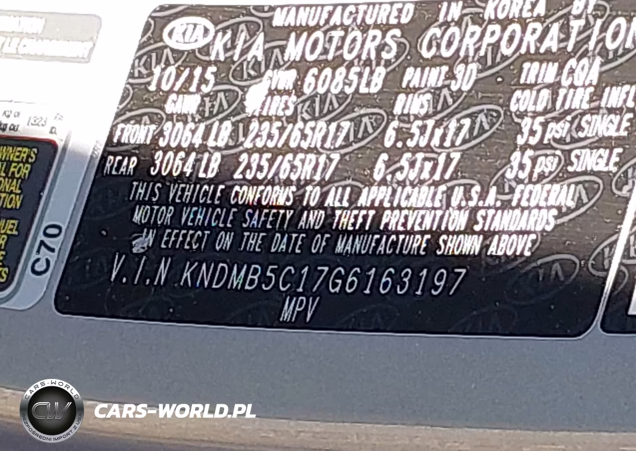 2016 Kia Sedona Lx VIN:KNDMB5C17G6163197 - 9
