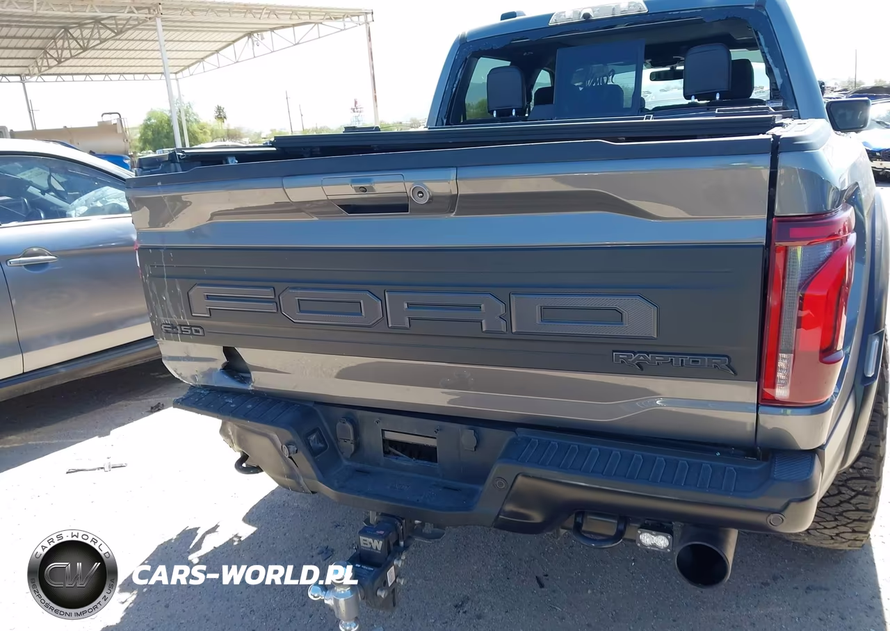 2024 Ford F-150 Raptor VIN:1FTFW1RG2RFB69252 - 17