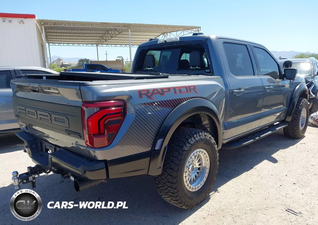 2024 Ford F-150 Raptor VIN:1FTFW1RG2RFB69252 - 4