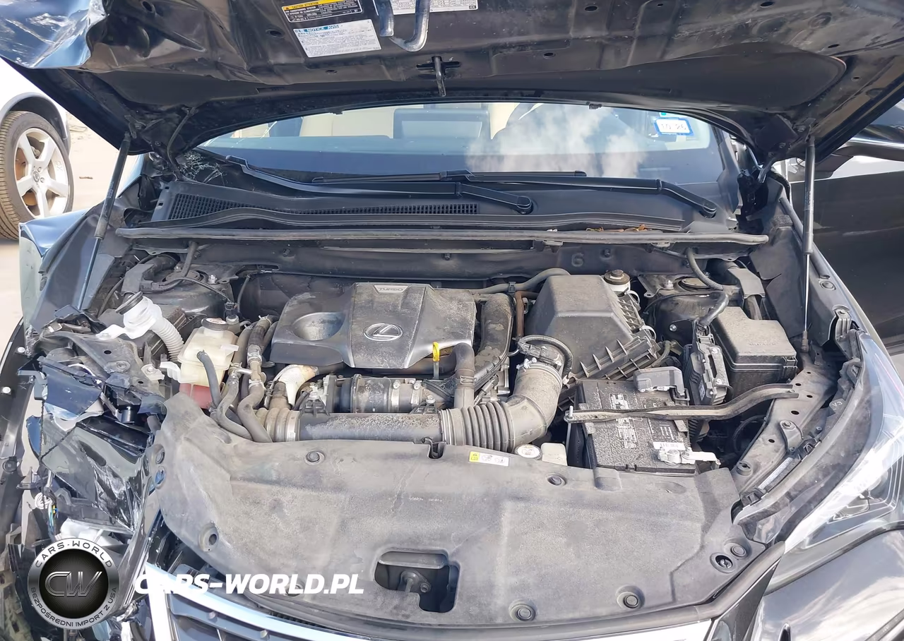 2020 Lexus Nx 300 VIN:JTJDARBZ9L5007032 - 10