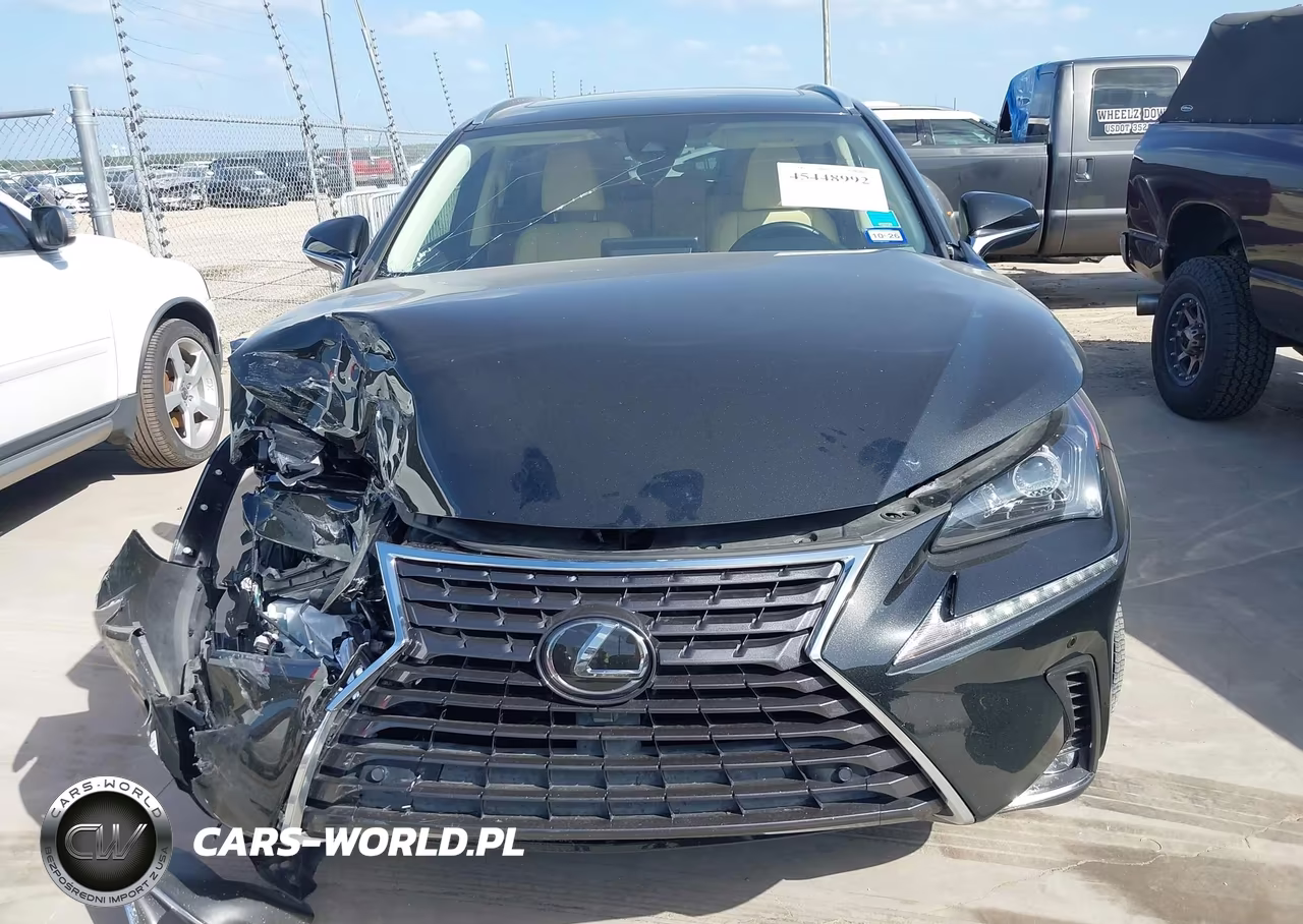 2020 Lexus Nx 300 VIN:JTJDARBZ9L5007032 - 12