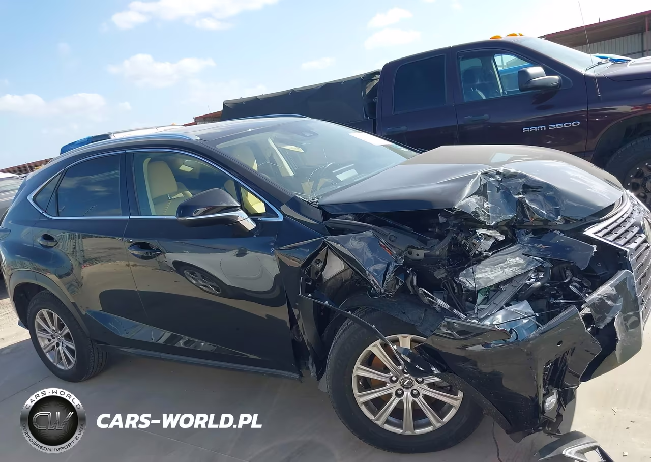 2020 Lexus Nx 300 VIN:JTJDARBZ9L5007032 - 13