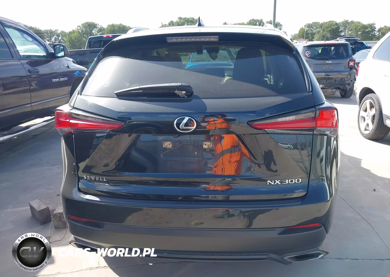 2020 Lexus Nx 300 VIN:JTJDARBZ9L5007032 - 16