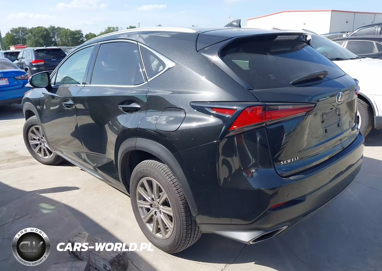 2020 Lexus Nx 300 VIN:JTJDARBZ9L5007032 - 3