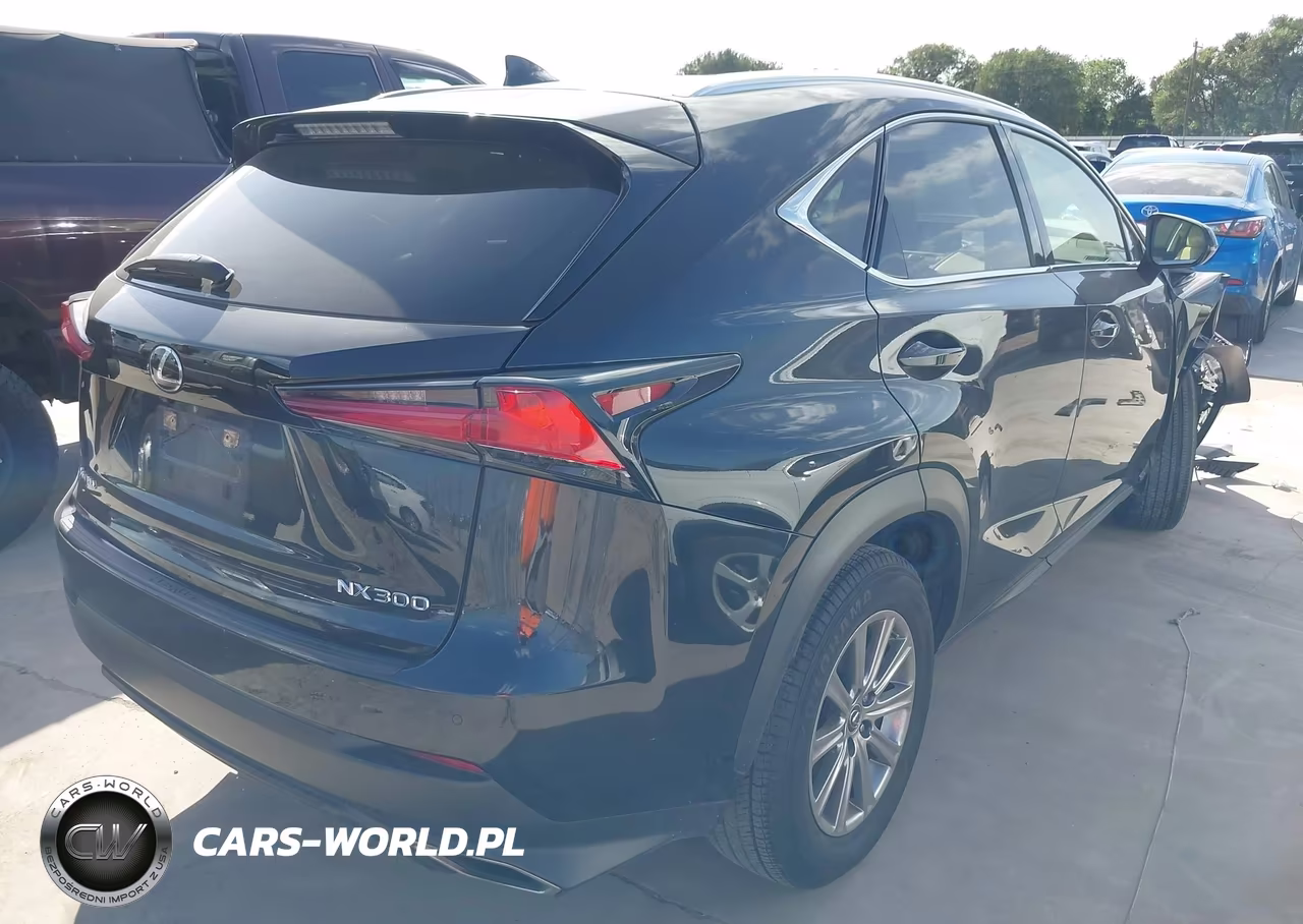 2020 Lexus Nx 300 VIN:JTJDARBZ9L5007032 - 4