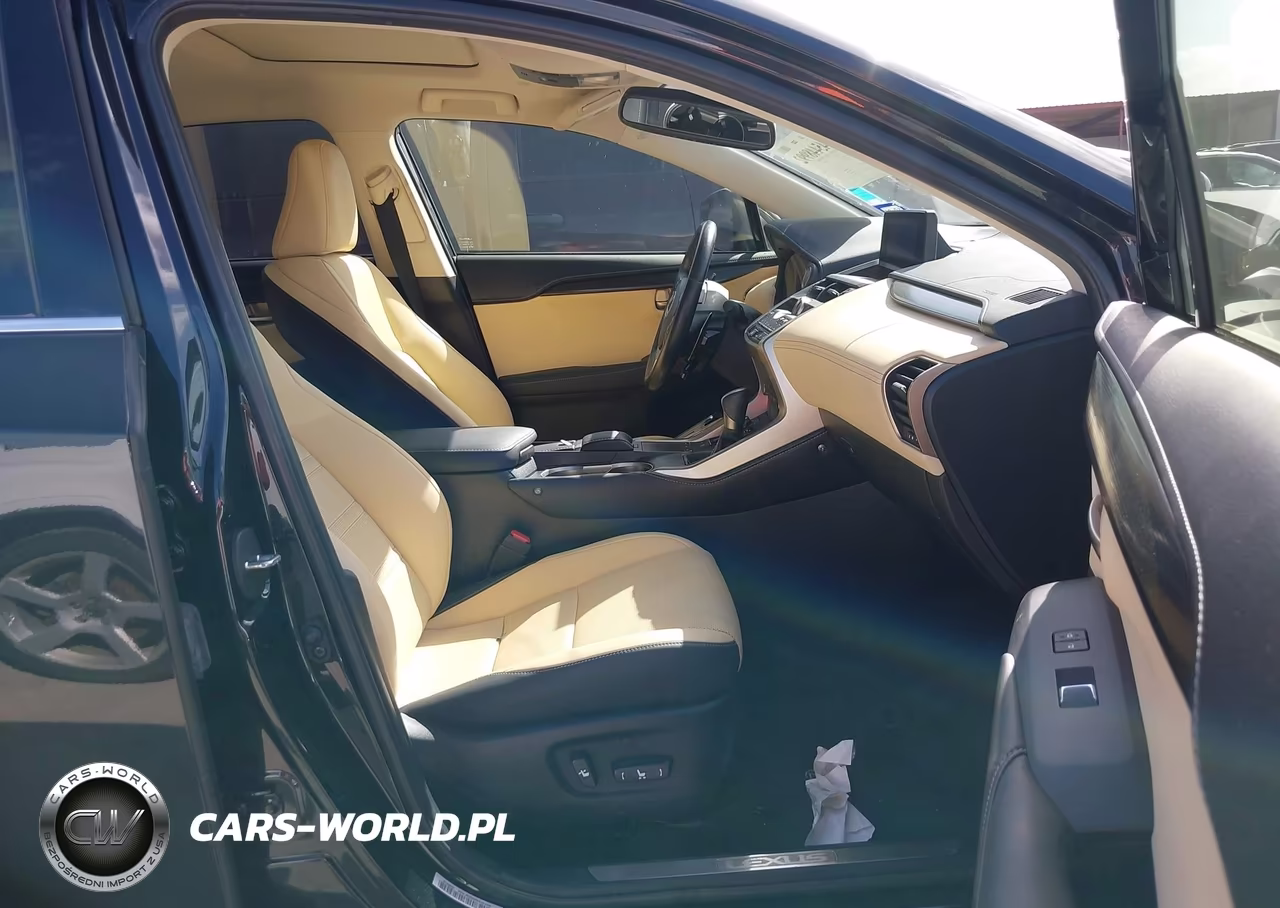 2020 Lexus Nx 300 VIN:JTJDARBZ9L5007032 - 5