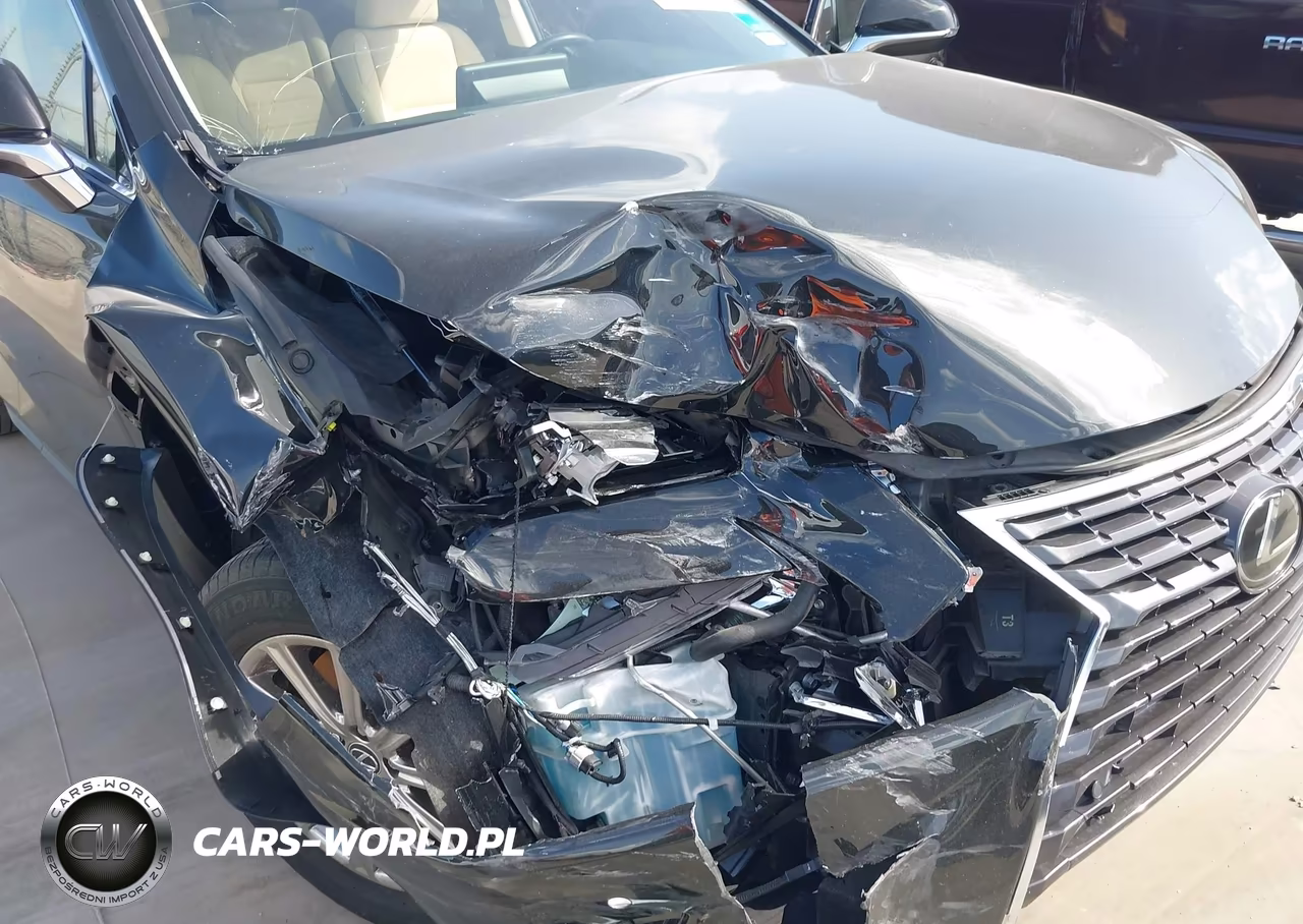 2020 Lexus Nx 300 VIN:JTJDARBZ9L5007032 - 6
