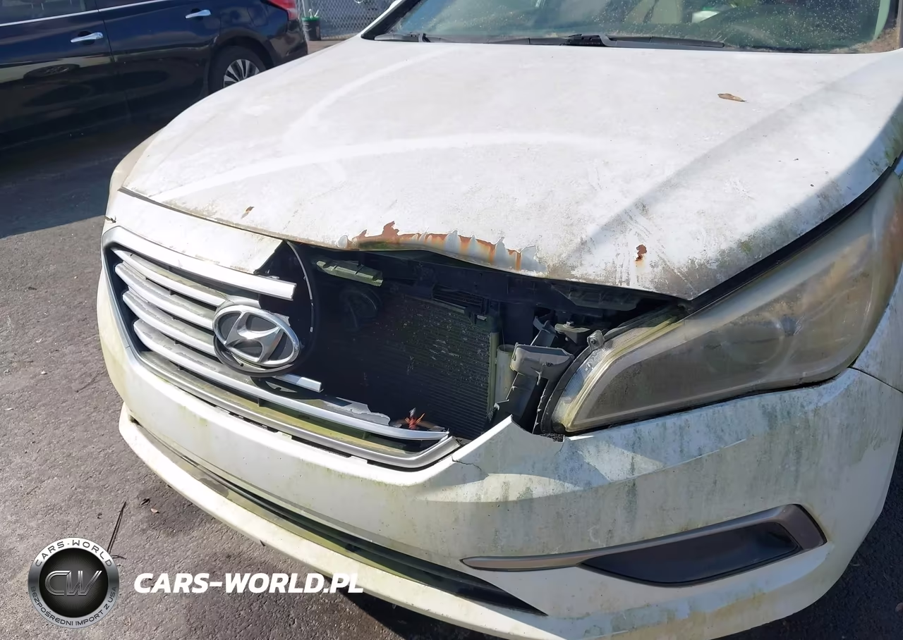 2017 Hyundai Sonata Se VIN:5NPE24AF9HH507083 - 13