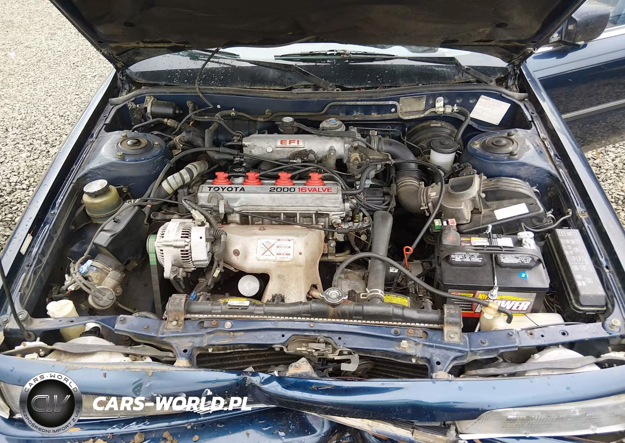1988 Toyota Camry Le VIN:JT2SV22WXJ0102021 - 10