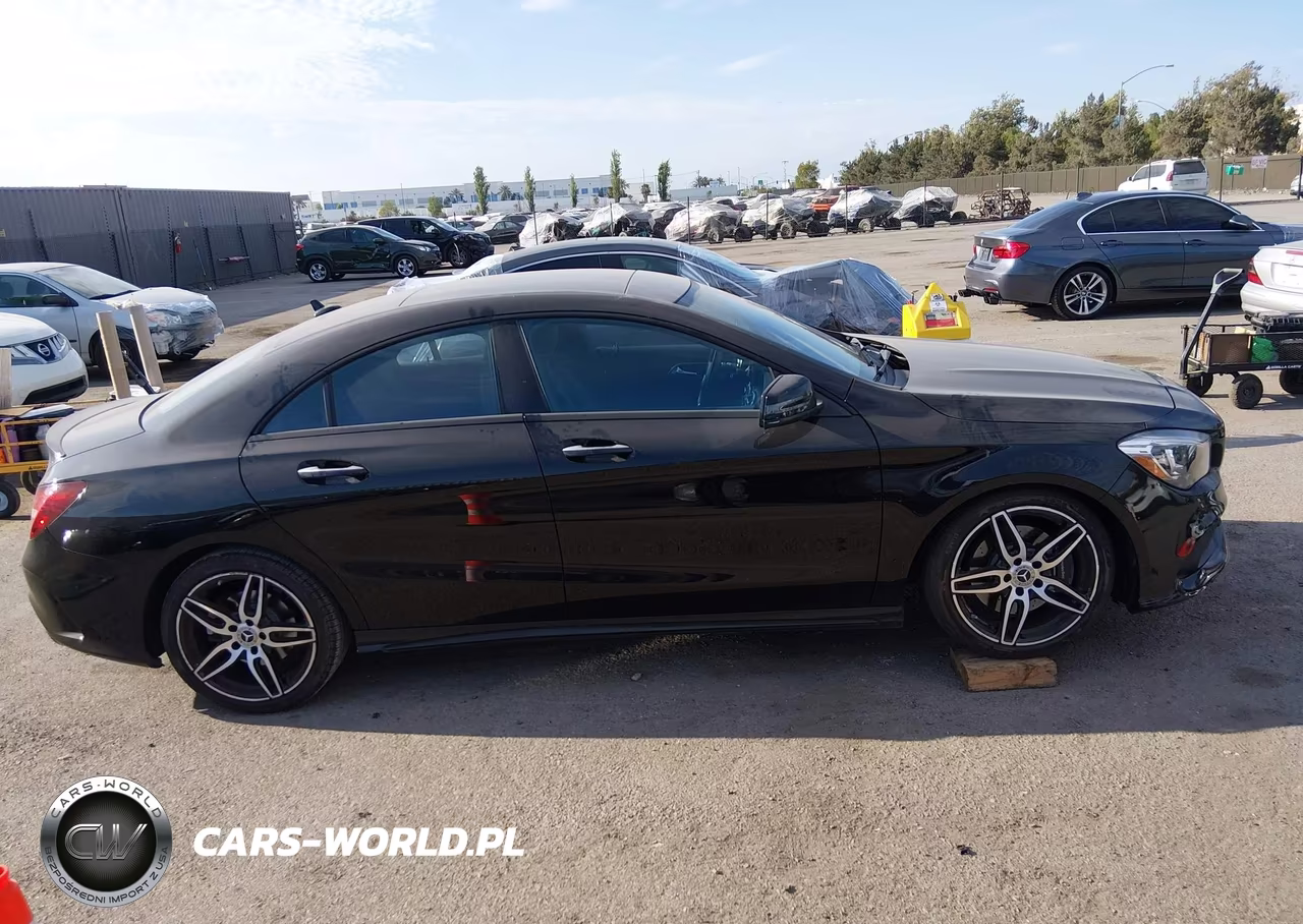 2019 Mercedes-Benz Cla 250 VIN:WDDSJ4EB1KN738103 - 13