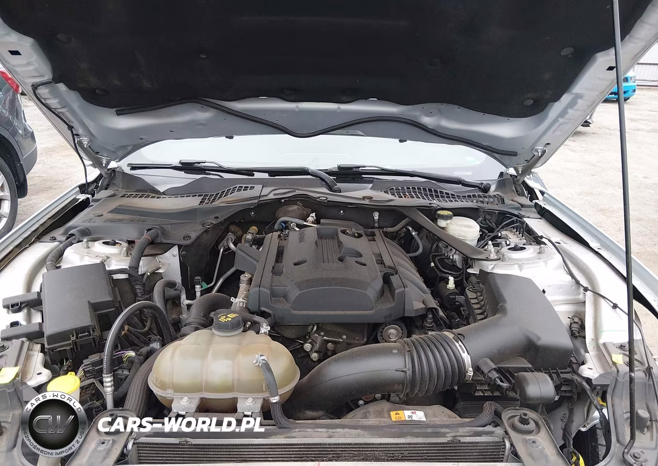 2017 Ford Mustang Ecoboost Premium VIN:1FATP8UH7H5320363 - 10