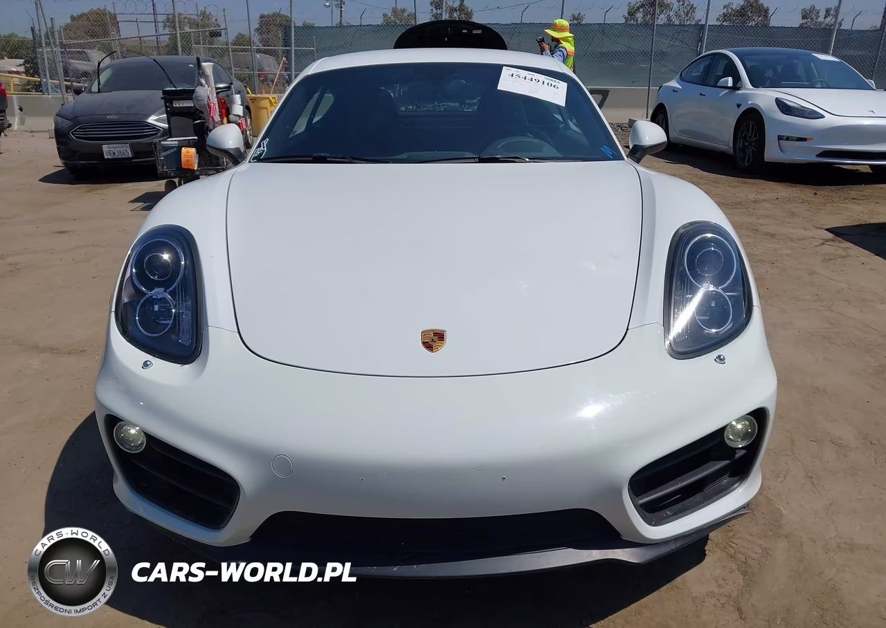 2015 Porsche Cayman VIN:WP0AA2A87FK161055 - 12