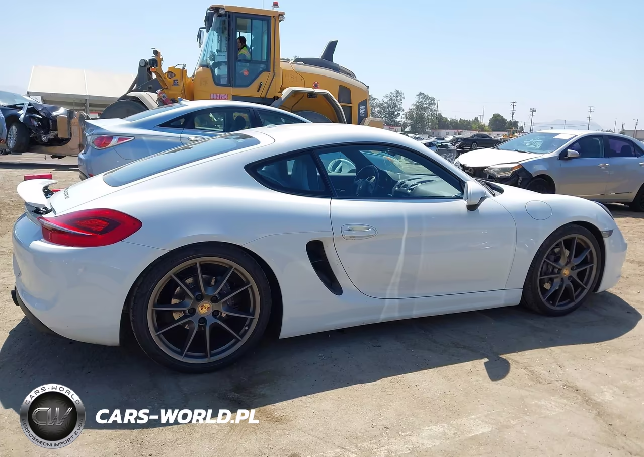 2015 Porsche Cayman VIN:WP0AA2A87FK161055 - 13