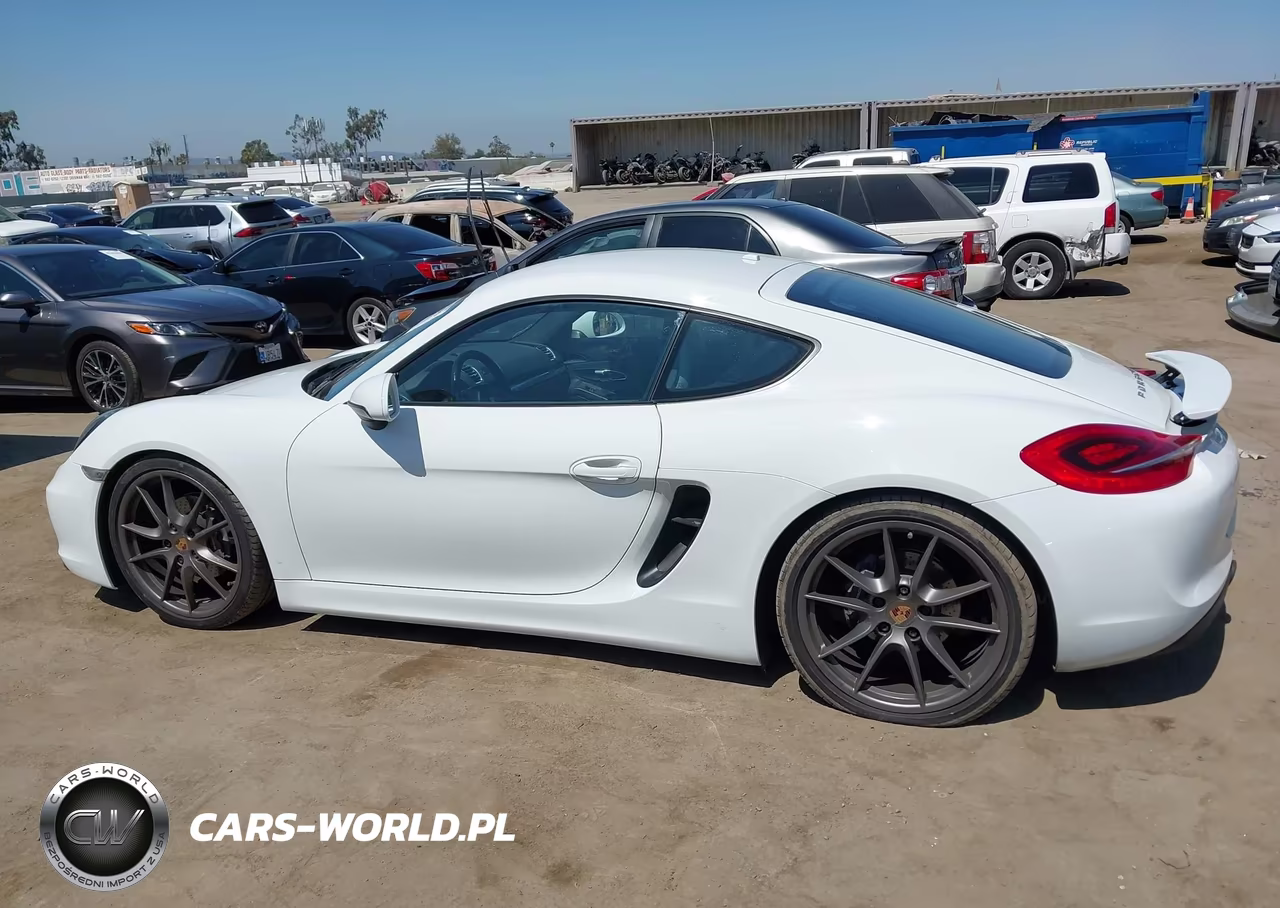 2015 Porsche Cayman VIN:WP0AA2A87FK161055 - 14