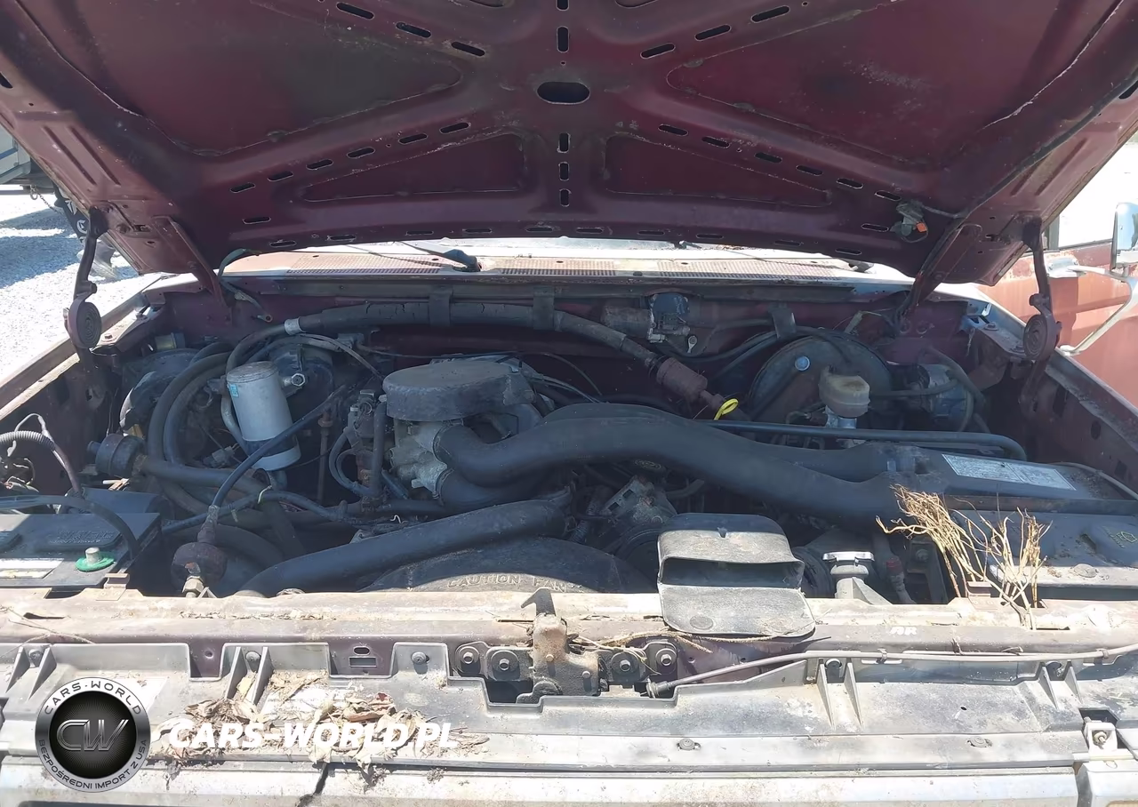 1989 Ford F150 VIN:1FTDF15N7KNB79914 - 10
