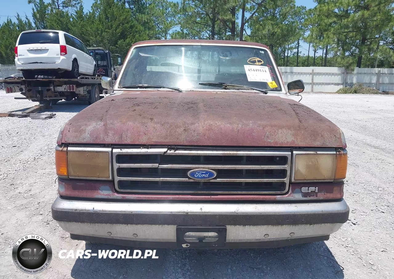 1989 Ford F150 VIN:1FTDF15N7KNB79914 - 6