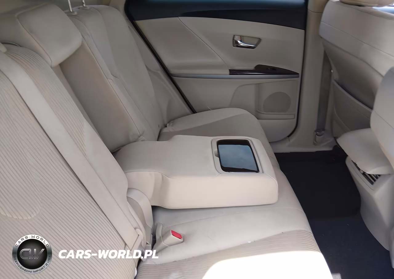 2010 Toyota Venza VIN:4T3BA3BB6AU011801 - 8