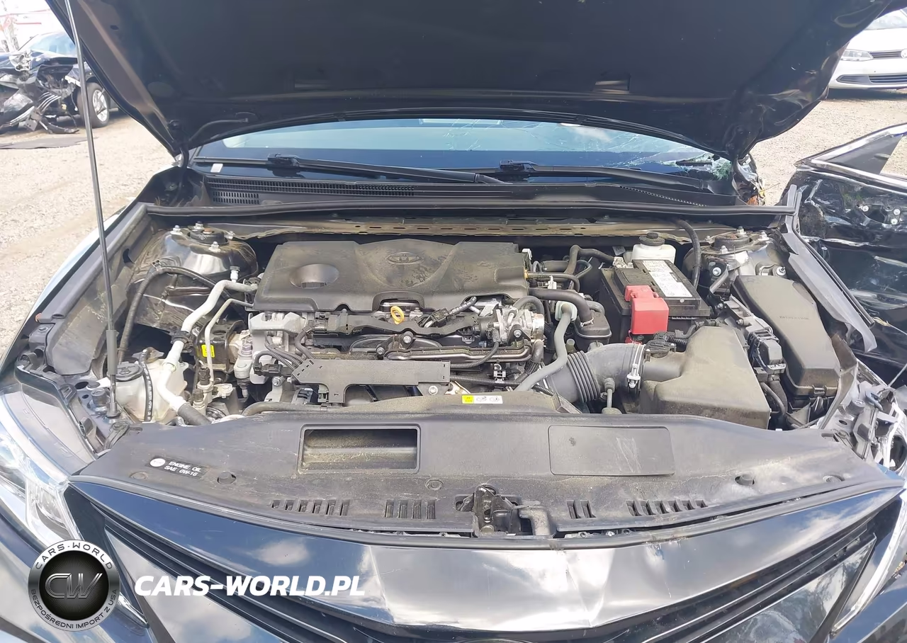 2022 Toyota Camry Le VIN:4T1C11AK0NU700631 - 10