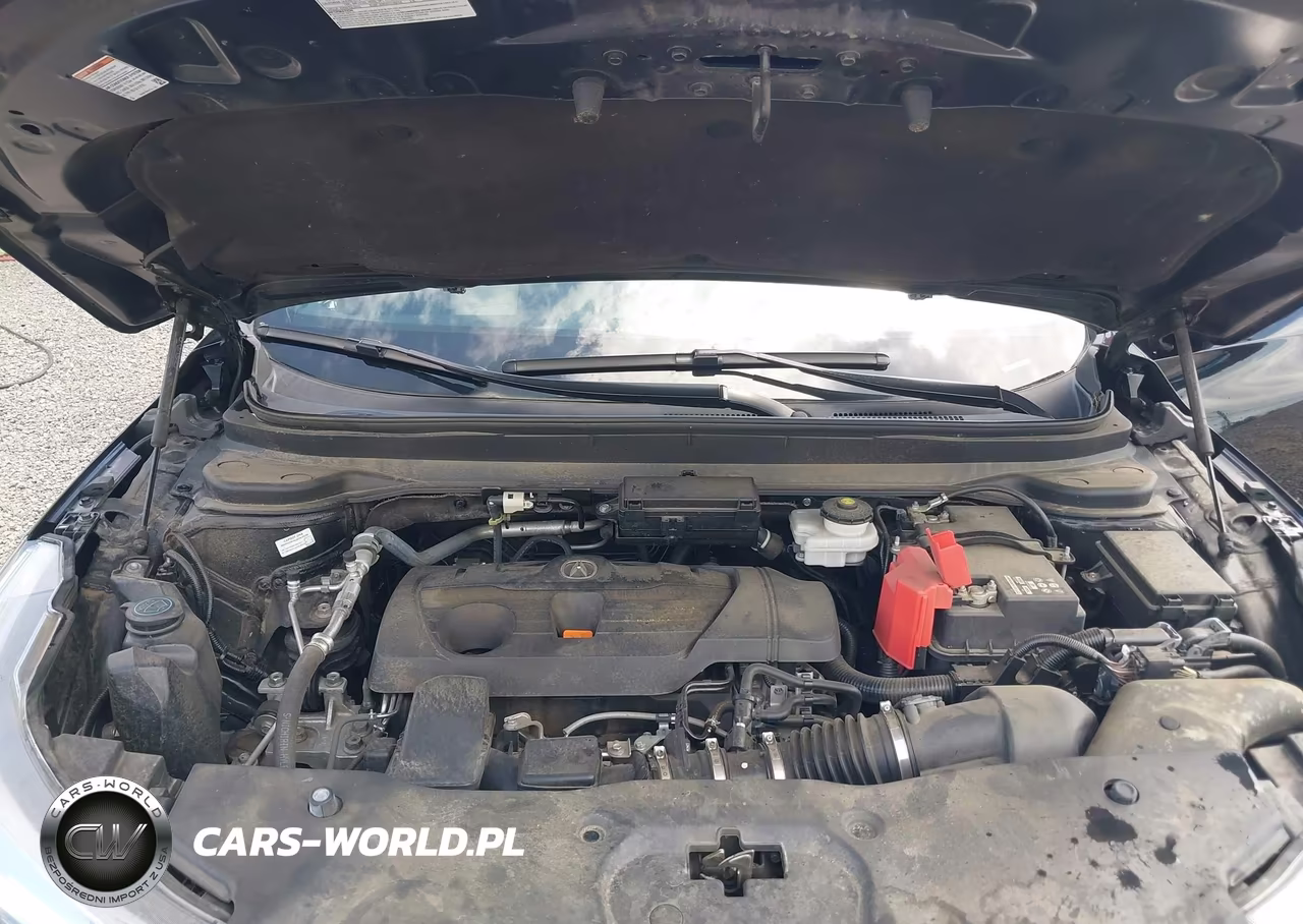 2019 Acura Rdx Standard VIN:5J8TC2H39KL021494 - 10