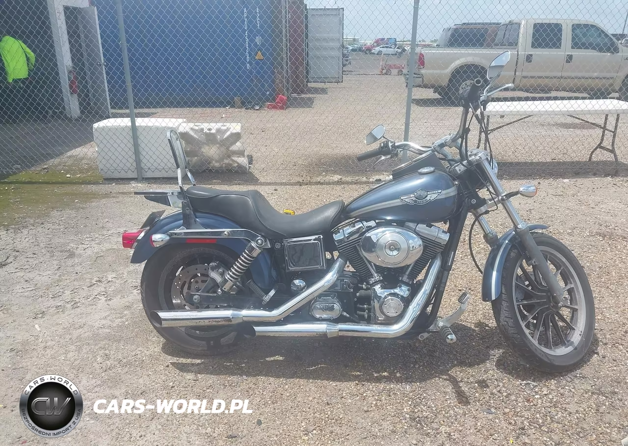 2003 Harley-Davidson Fxdl VIN:1HD1GDV133K311017 - 11