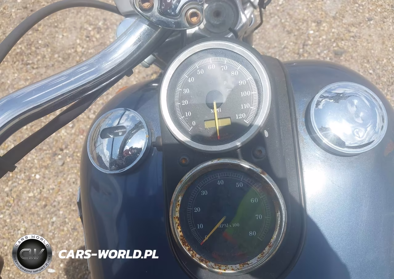 2003 Harley-Davidson Fxdl VIN:1HD1GDV133K311017 - 7
