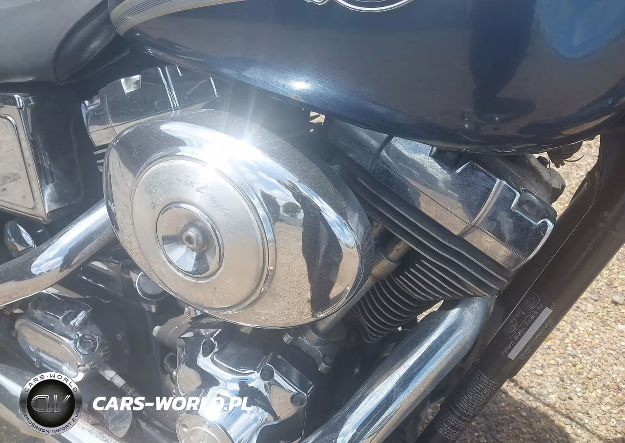 2003 Harley-Davidson Fxdl VIN:1HD1GDV133K311017 - 8