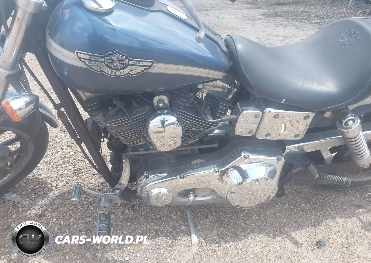 2003 Harley-Davidson Fxdl VIN:1HD1GDV133K311017 - 9