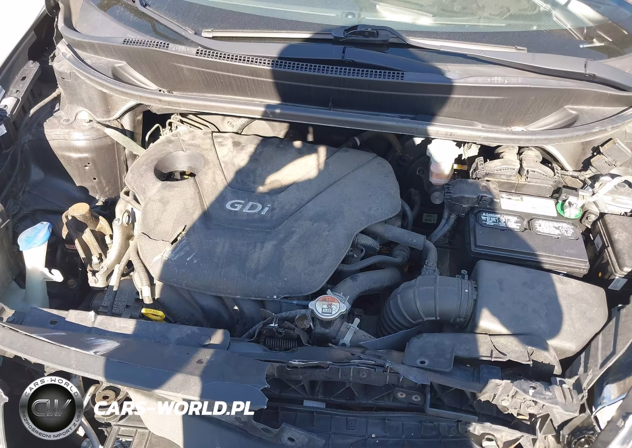 2015 Kia Rio Sx VIN:KNADN4A34F6469694 - 10