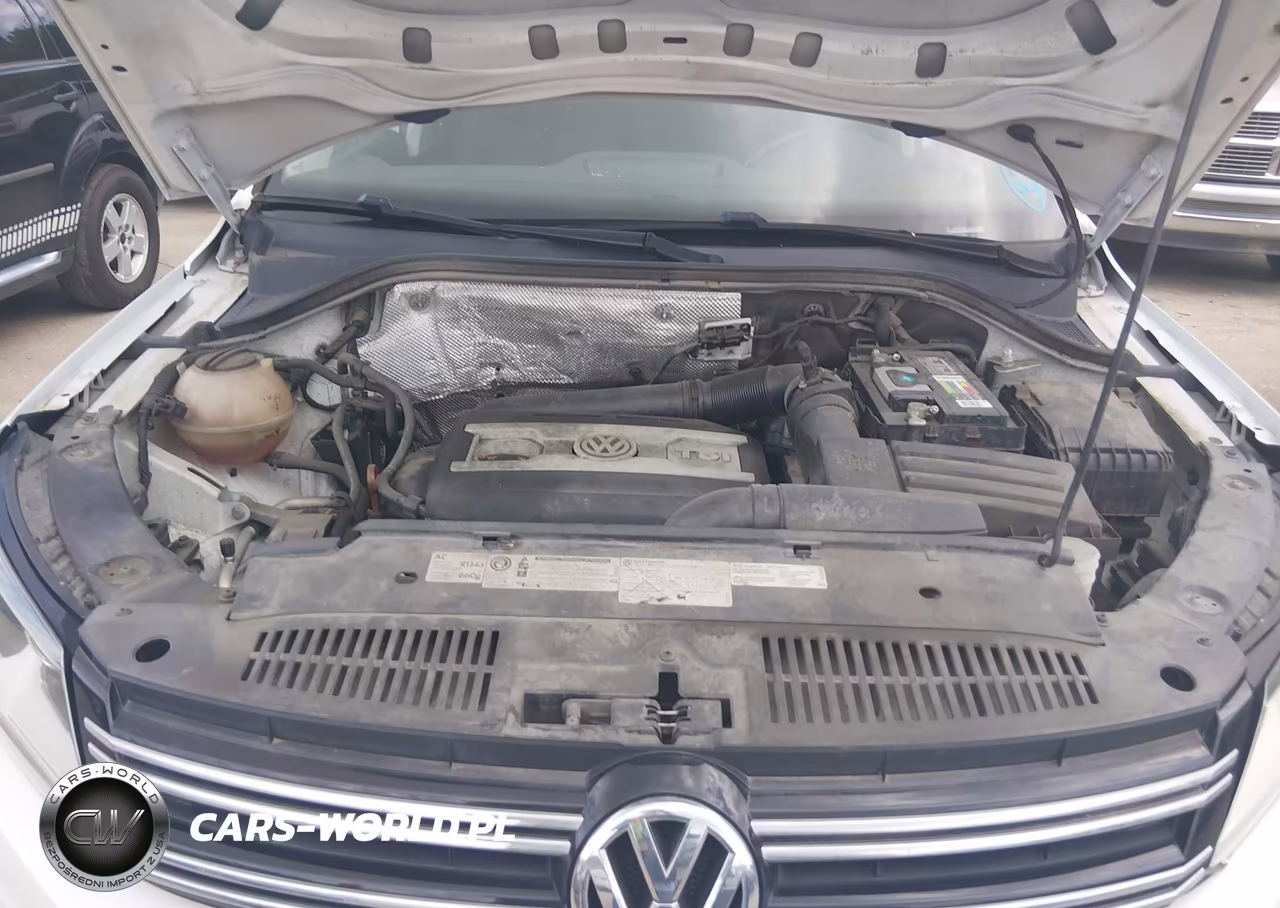 2013 Volkswagen Tiguan S VIN:WVGAV7AX1DW527604 - 10
