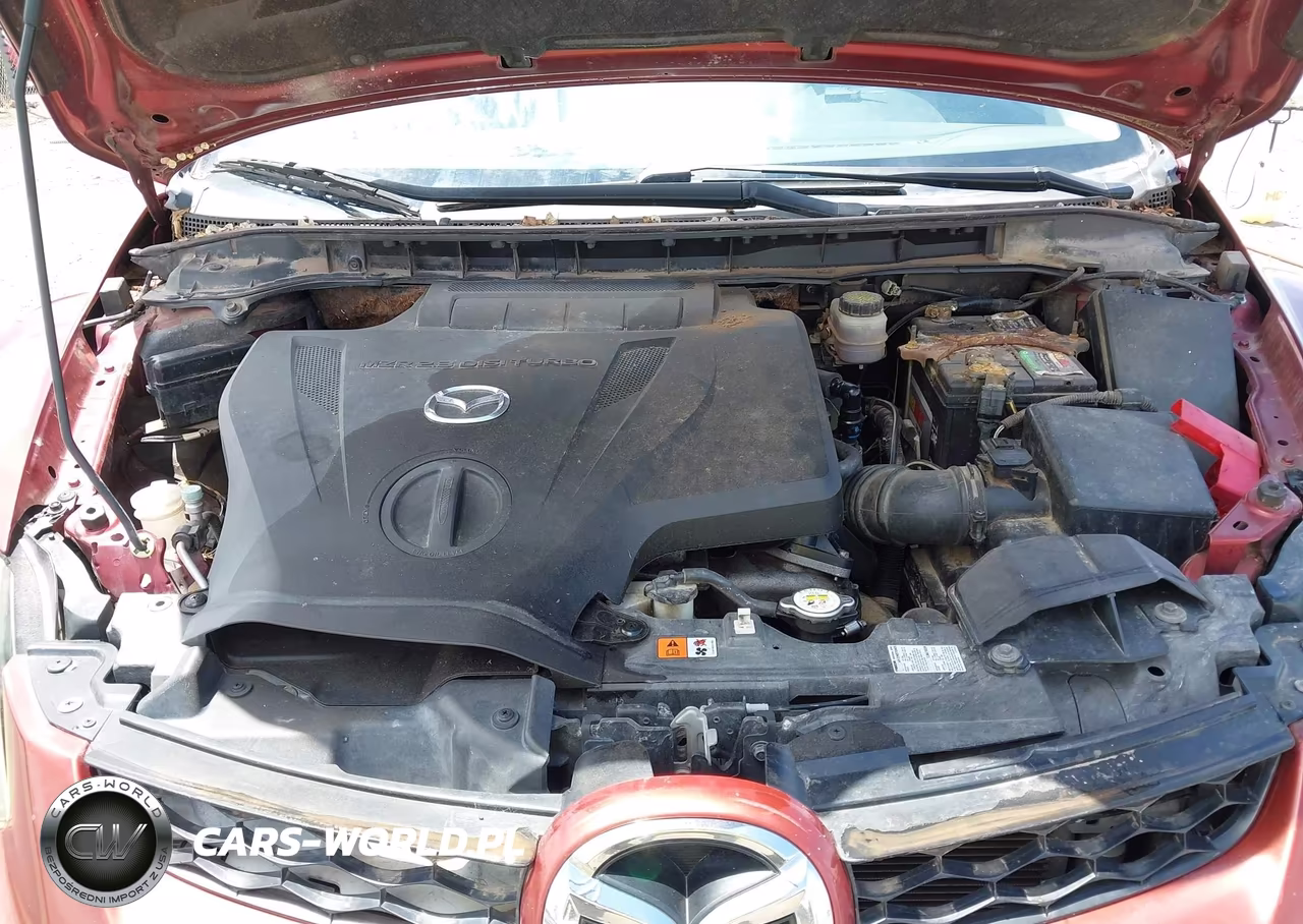 2010 Mazda Cx-7 S Touring VIN:JM3ER4W32A0329988 - 10