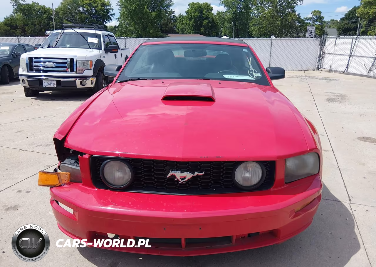 2007 Ford Mustang Gt Deluxe-Gt Premium VIN:1ZVFT85H875304718 - 12